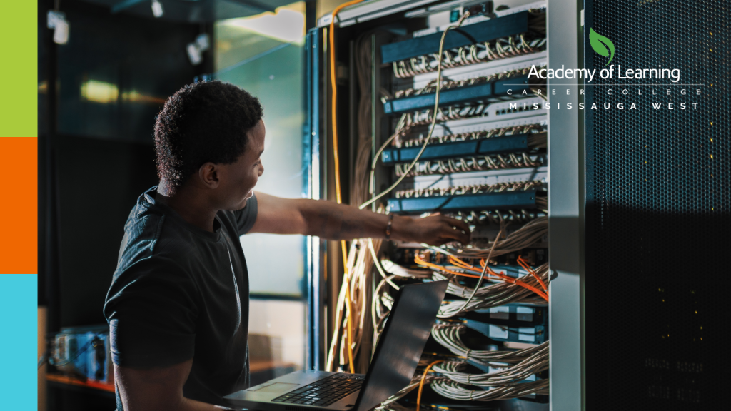 Network Administrator​